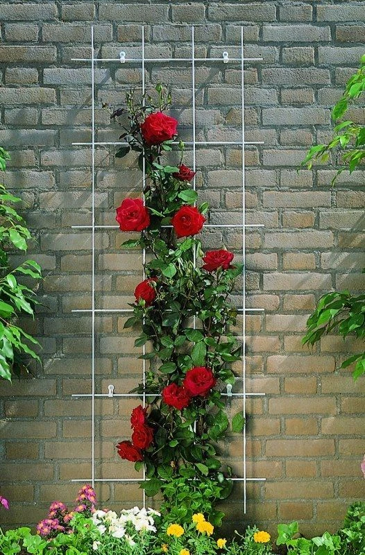 Nature Klimplantrek Metaal Verzinkt 145 X 57 Cm 2 Nature Klimplantrek Metaal Verzinkt 145 X 57 Cm - Afbeelding 2