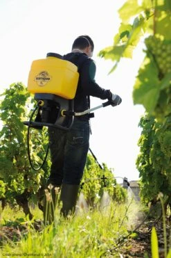 Berthoud Vermorel 2000 PRO Comfort Rugspuit 16 Liter 5 Berthoud Vermorel 2000 PRO Comfort Rugspuit 16 Liter -Haxo Winkel 3176241020224 2