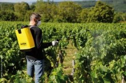 Berthoud Cosmos 18 Pro Rugspuit 18 Liter -Haxo Winkel 3176241022150 4