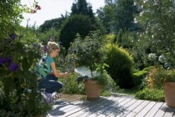 Gardena Spiraalslangset 10 Meter -Haxo Winkel 40785004647032