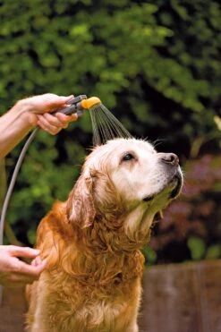 Hozelock Drukspuit 4 In 1 Tuindouche 8 Hozelock Drukspuit 4 In 1 Tuindouche -Haxo Winkel 5010646051361 3