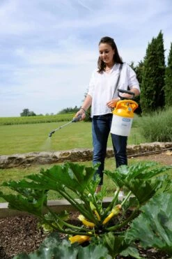 Hozelock Drukspuit Pulsar Plus 5 Liter -Haxo Winkel 5010646062671 6