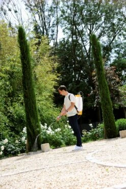 Hozelock Rugspuit Pulsar Plus Comfort 12 Liter -Haxo Winkel 5010646062749 3