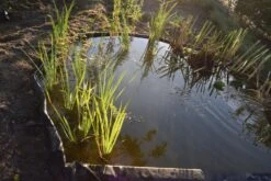 Nature Borderrand Zwart 7mm H19cm X 15m -Haxo Winkel 8711465301015 3