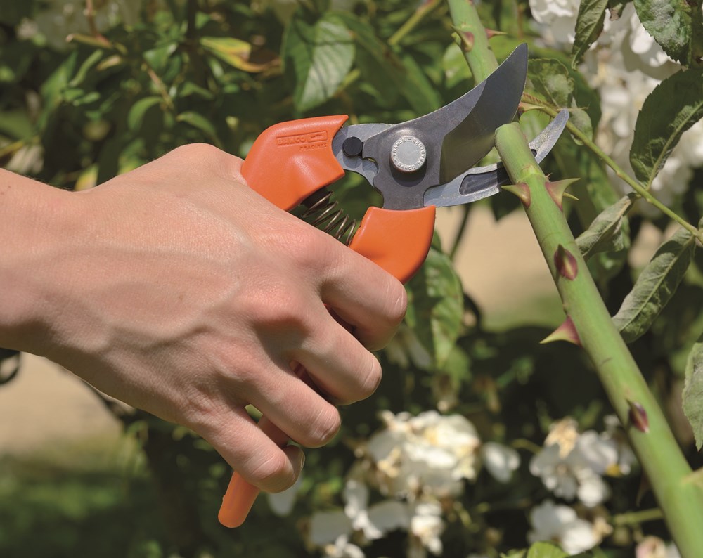 Haxo Winkel 2 Haxo Winkel -Haxo Winkel Bahco Snoeischaar