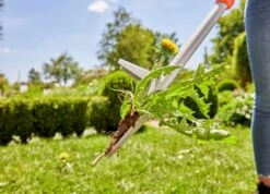 Gardena Onkruidsteker Lang -Haxo Winkel Gardena onkruisteker lang 9