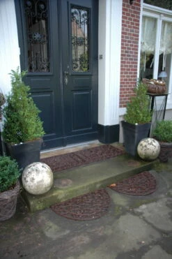 Esschert Deurmat Gietijzer L -Haxo Winkel LH38 42