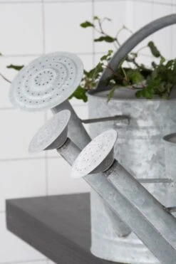 Esschert Gieter Oud Zink XL 15 Esschert Gieter Oud Zink XL -Haxo Winkel OZ46 46