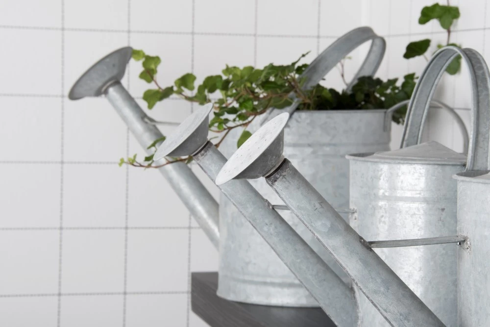 Esschert Gieter Oud Zink XL 7 Esschert Gieter Oud Zink XL - Afbeelding 7