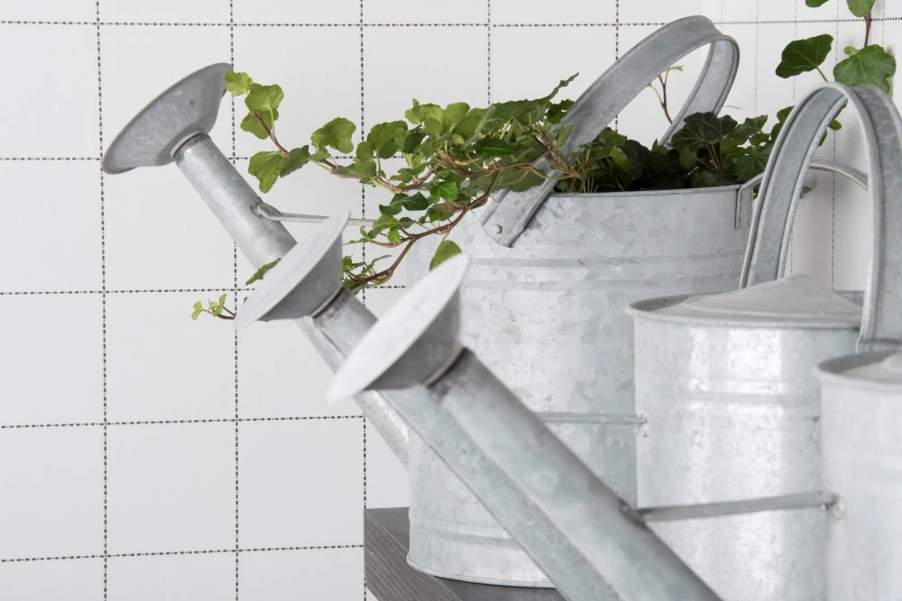 Esschert Gieter Oud Zink XL 2 Esschert Gieter Oud Zink XL - Afbeelding 2