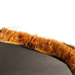 Esschert Deurmat Rubber Met Kokos Poes -Haxo Winkel RB248 03