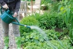 Esschert Gieter Klassiek Groen 5L -Haxo Winkel TG171 40