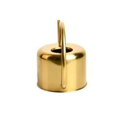 Esschert Kamerplanten Gieter Goud 1 L 15 Esschert Kamerplanten Gieter Goud 1 L -Haxo Winkel TG237 04