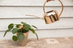 Esschert Kamerplanten Gieter Goud 1 L 23 Esschert Kamerplanten Gieter Goud 1 L -Haxo Winkel TG237 41