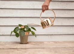 Esschert Kamerplanten Gieter Goud 1 L 17 Esschert Kamerplanten Gieter Goud 1 L -Haxo Winkel TG237 42