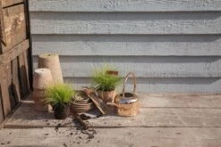 Esschert Kamerplanten Gieter Goud 1 L 21 Esschert Kamerplanten Gieter Goud 1 L -Haxo Winkel TG237 45