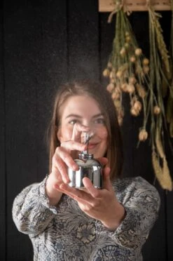 Esschert Plantensproeier Metaal Zilver 17 Esschert Plantensproeier Metaal Zilver -Haxo Winkel TG270 40