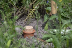 Esschert Olla L -Haxo Winkel TG297 41 1