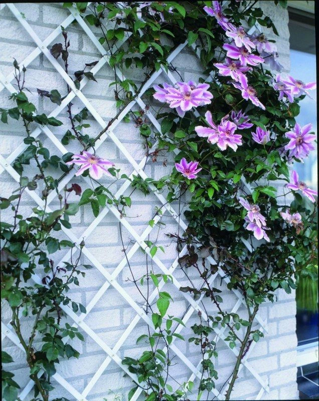 Nature Klimplantrek Kunststof Groen 100x200cm 2 Nature Klimplantrek Kunststof Groen 100x200cm - Afbeelding 2