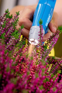 Gloria AutoPump Mini - 1 Liter Fijnsproeier NBR + LED Verlichting -Haxo Winkel csm AutoPump Mini Detail 1 5f2afd1455