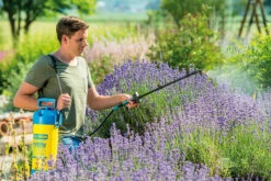 Gloria Drukspuit Hobby 5 Liter - Exclusiv -Haxo Winkel csm hobby exklusiv Live 1 f54f7a9c8c