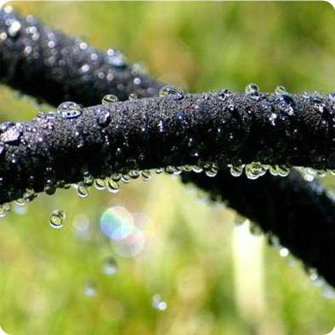 Hozelock Druppelslang Poreus Ø 12,5 Mm - 10 Meter 2 Hozelock Druppelslang Poreus Ø 12,5 Mm - 10 Meter - Afbeelding 2